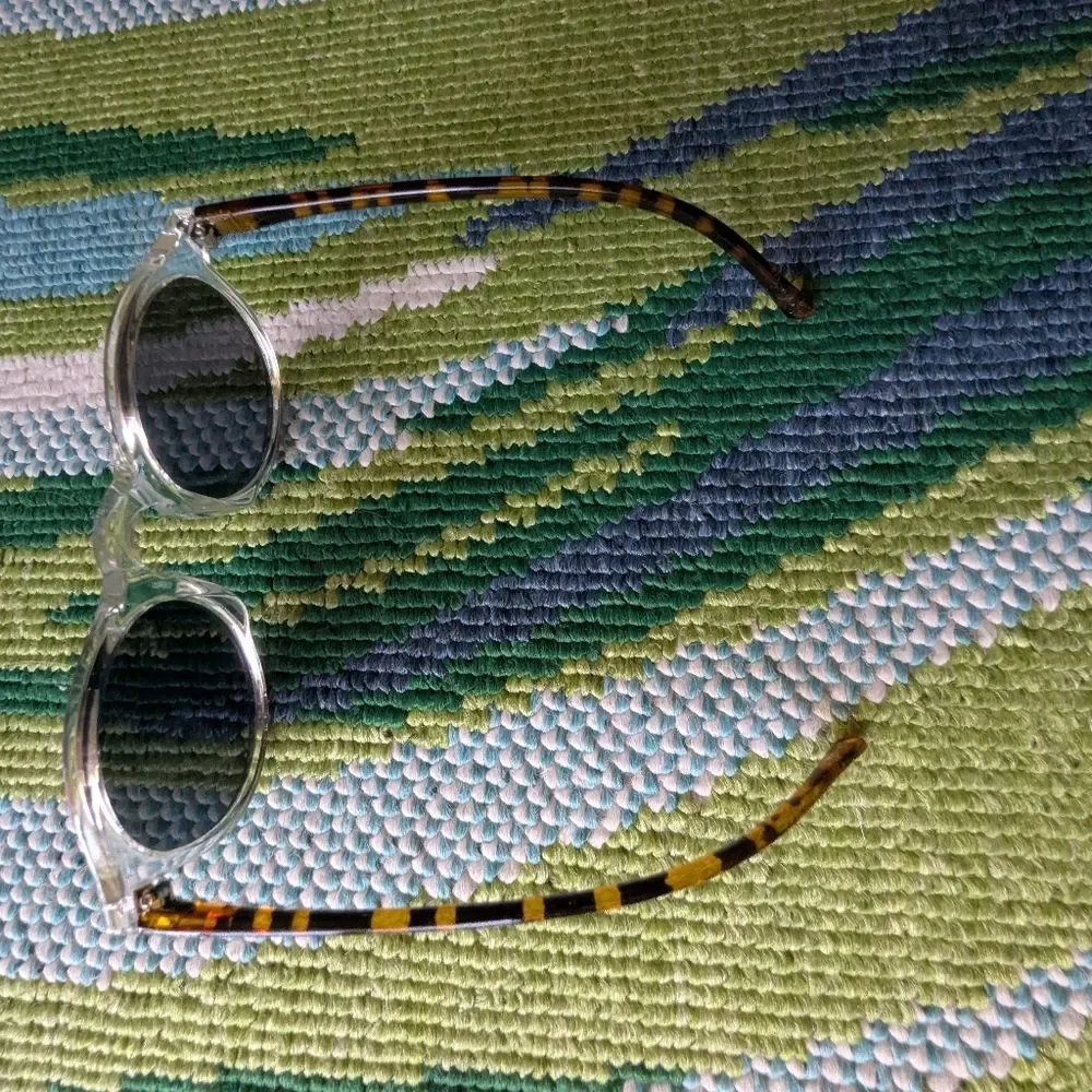 Clear Frame Round Sunglasses Tortoiseshell Arms Black Lenses Festival Indie Slea